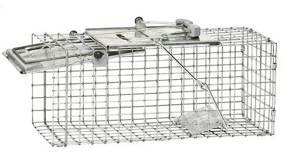 Havahart 1083, cage à écureuil